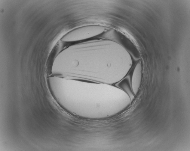 X0000077290899200611171624