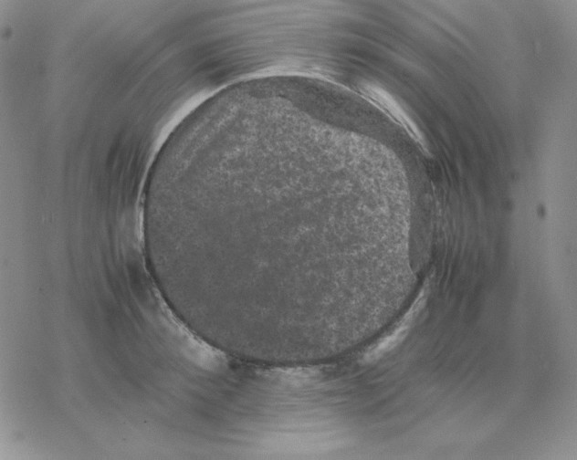 X0000077290900200611171624