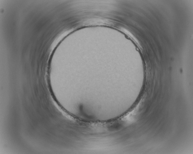 X0000077290901200611171624