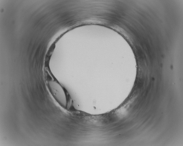 X0000077290902200611171624