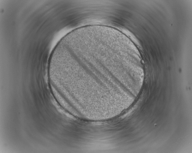 X0000077290904200611171624