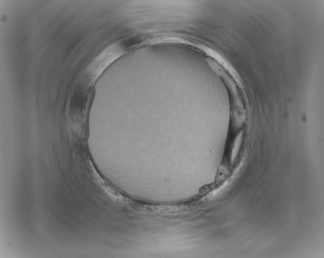 X0000077290905200611171624