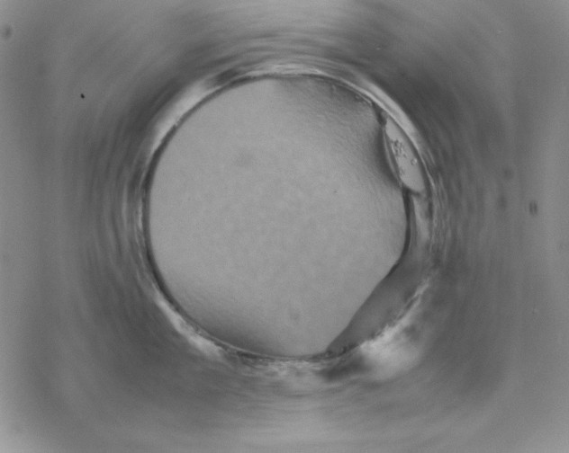 X0000077290909200611171624