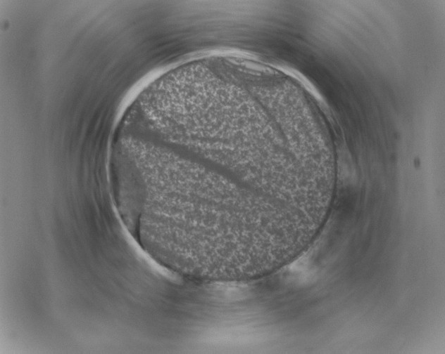 X0000077290910200611171624