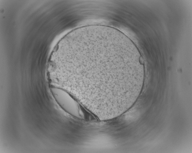 X0000077290912200611171624