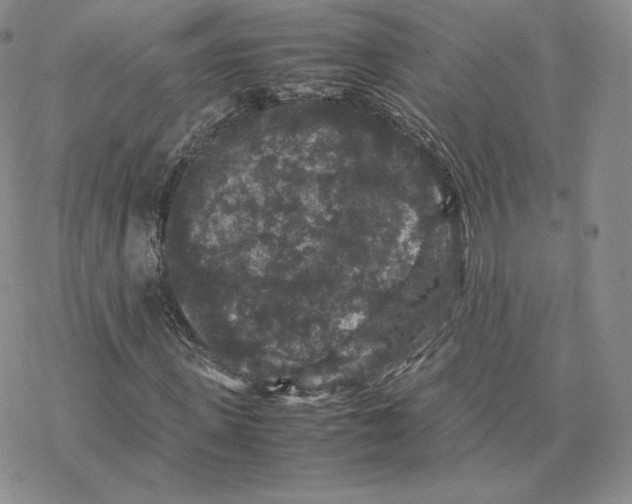 X0000077290915200611171623