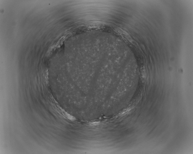 X0000077290916200611171623