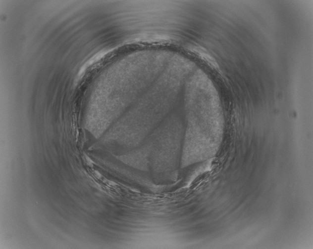 X0000077290920200611171623