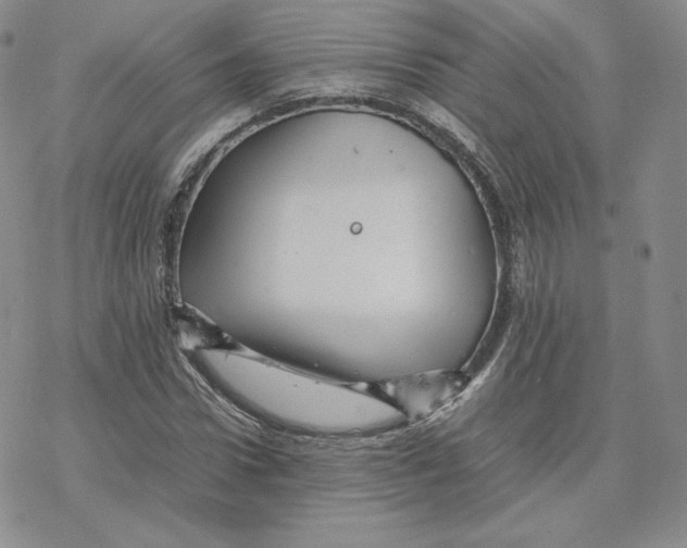 X0000077290922200611171623