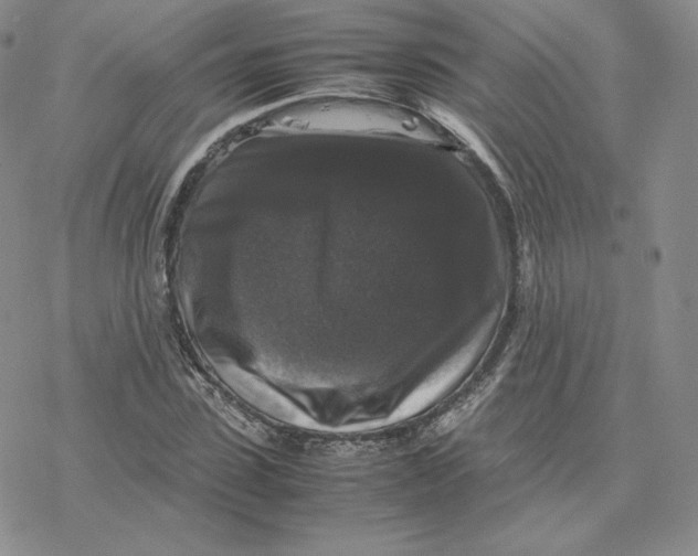 X0000077290923200611171623