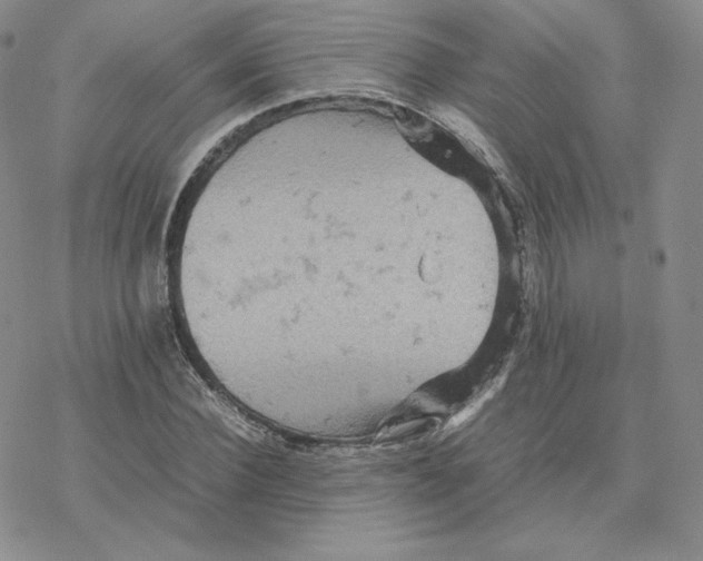 X0000077290924200611171623