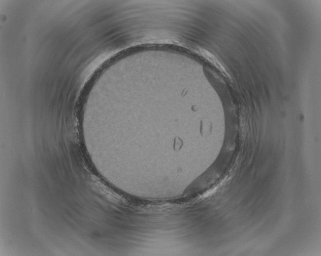 X0000077290926200611171623