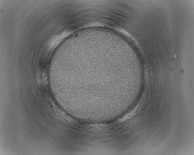 X0000077290929200611171623