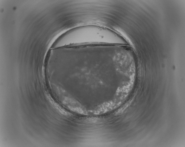 X0000077290932200611171623