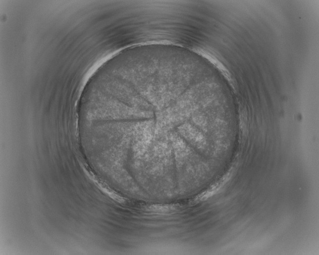 X0000077290933200611171623