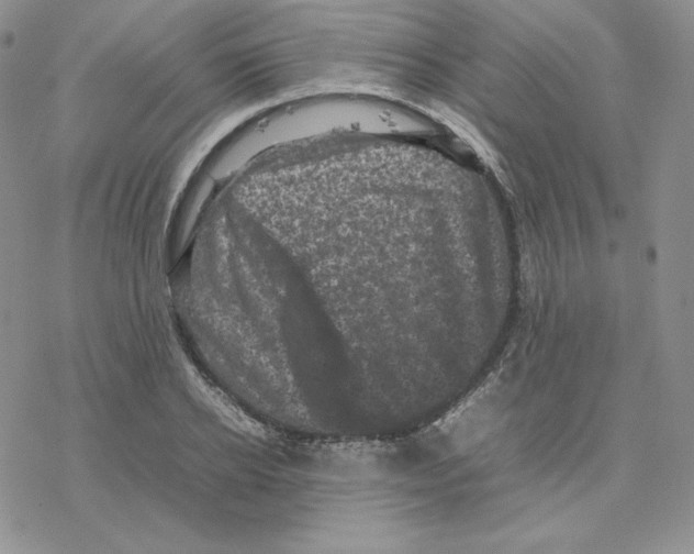 X0000077290934200611171623