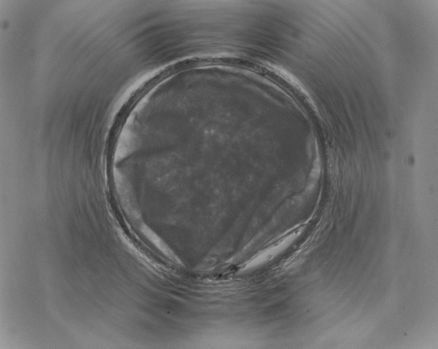 X0000077290935200611171623