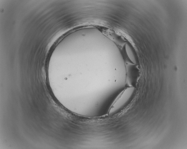 X0000077290936200611171623