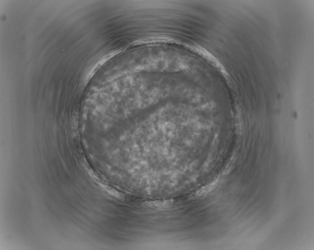 X0000077290937200611171623