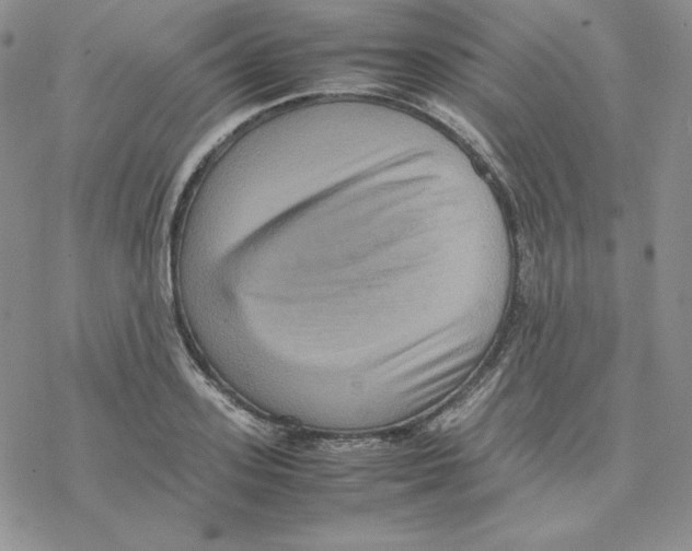 X0000077290939200611171624