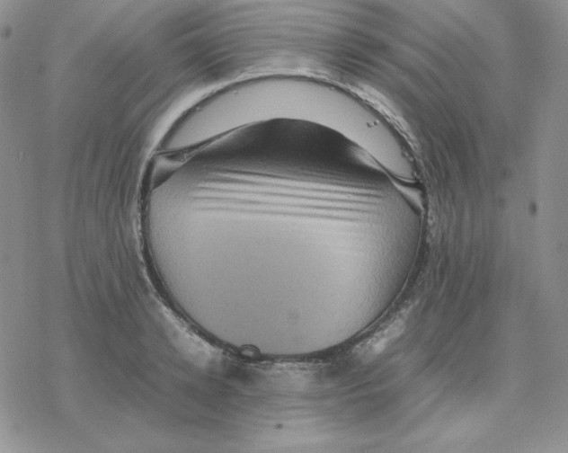 X0000077290942200611171624