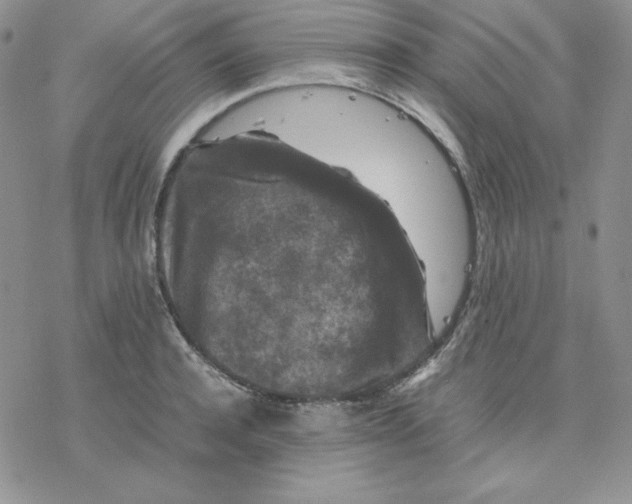 X0000077290944200611171624