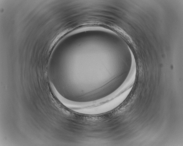 X0000077290945200611171624