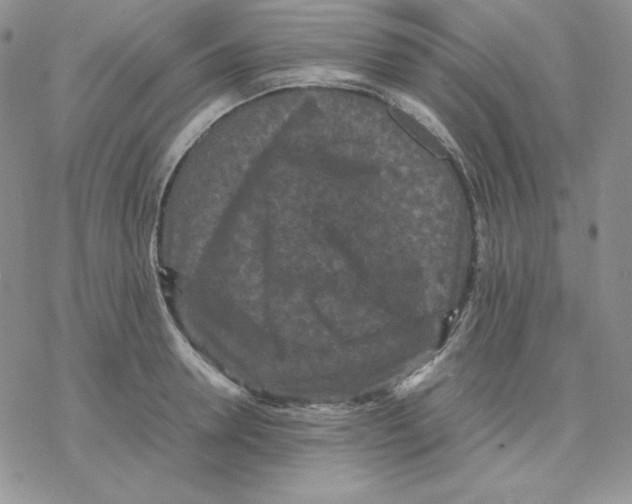 X0000077290946200611171624