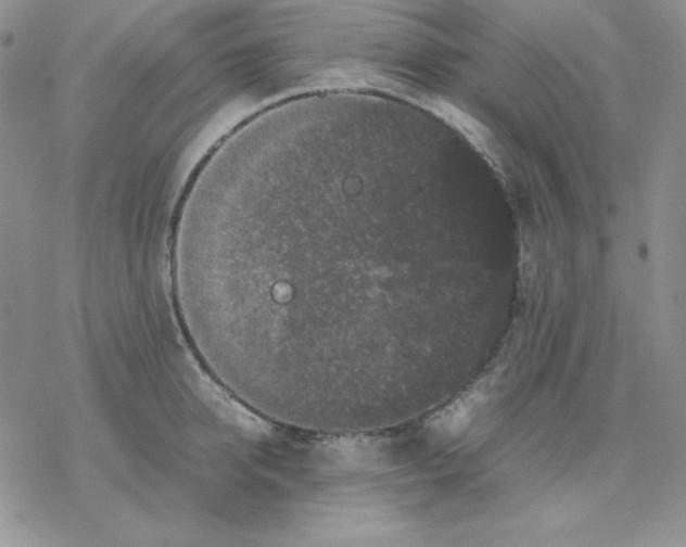 X0000077290950200611171624