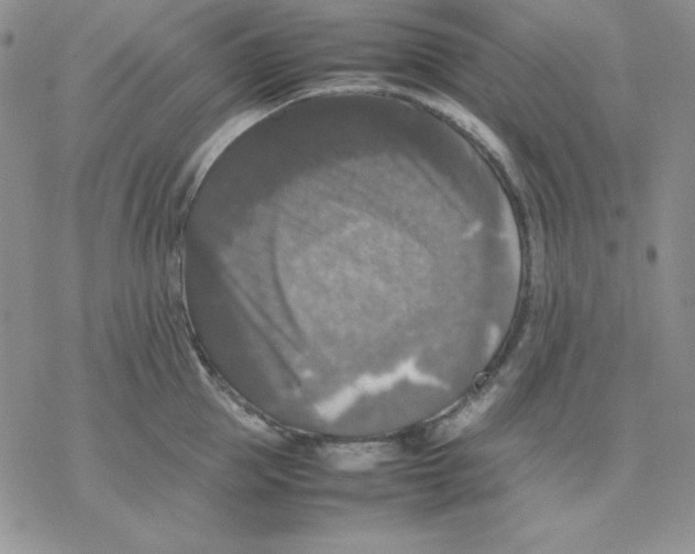 X0000077290953200611171624