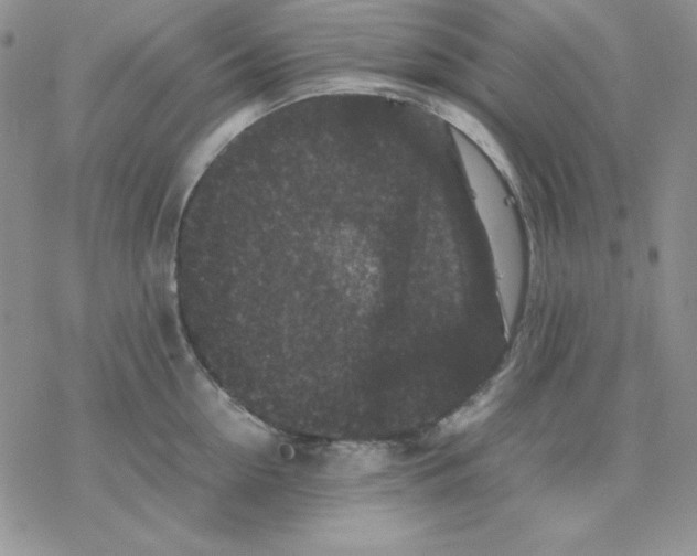 X0000077290954200611171624