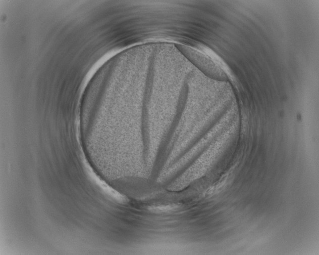 X0000077290955200611171624