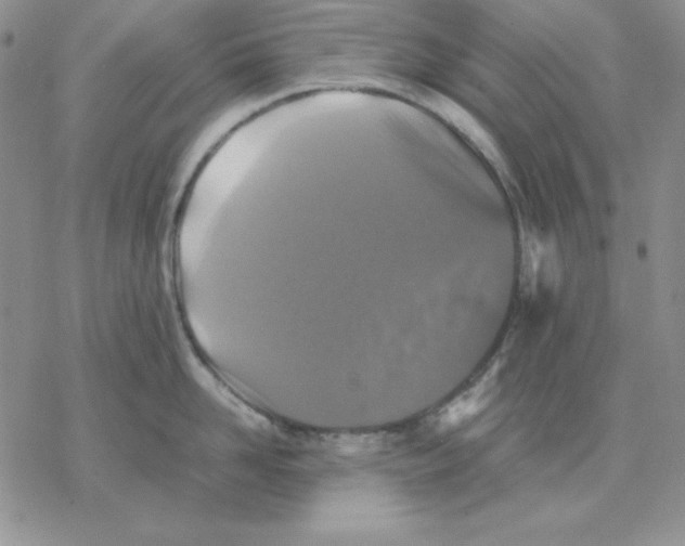 X0000077290958200611171624