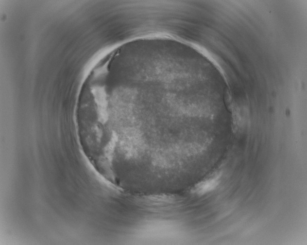 X0000077290959200611171624