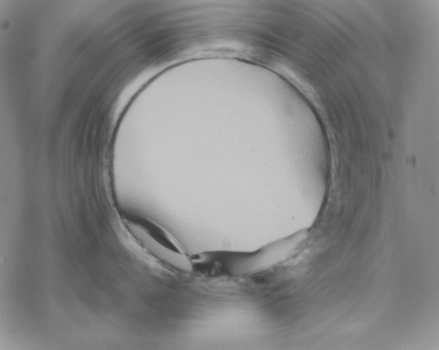 X0000077290960200611171624