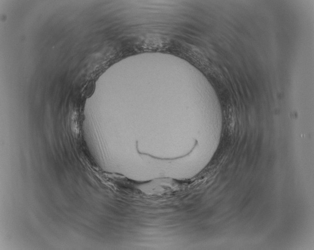 X0000077290962200611171623