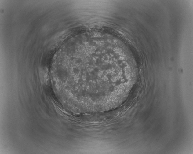 X0000077290963200611171623