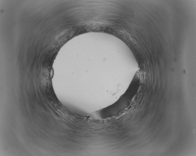 X0000077290964200611171623