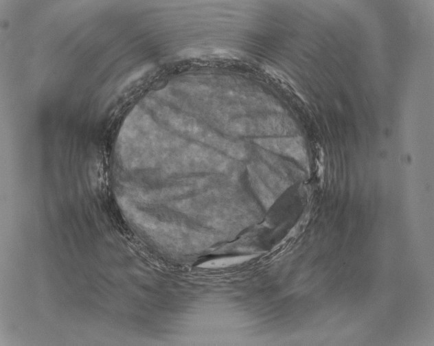 X0000077290966200611171623