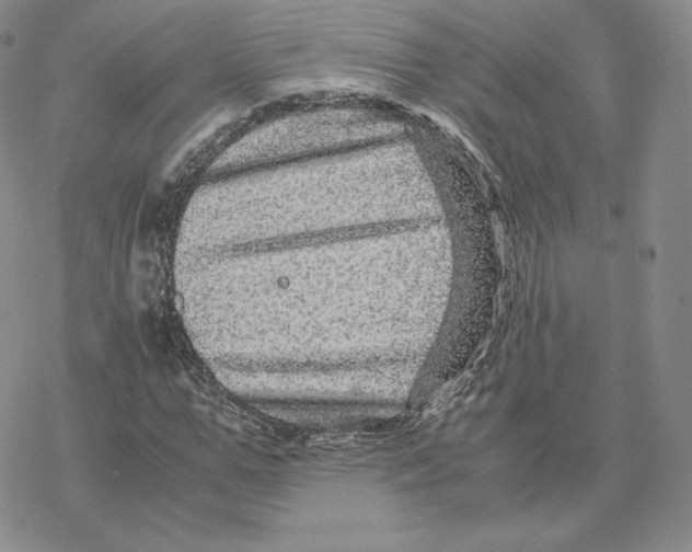 X0000077290967200611171623