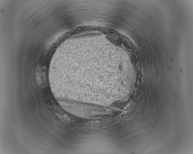 X0000077290968200611171623