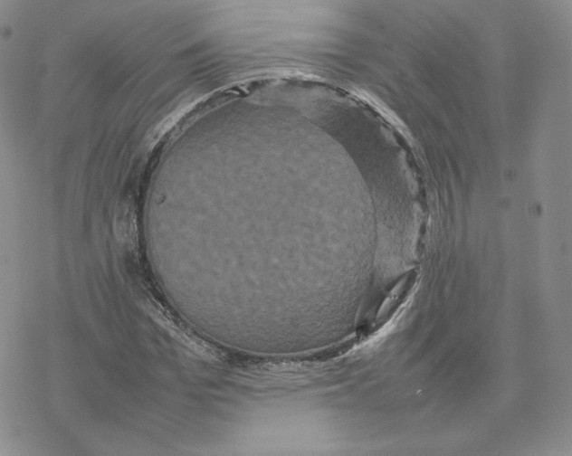 X0000077290969200611171623