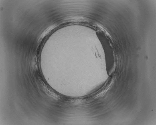 X0000077290970200611171623