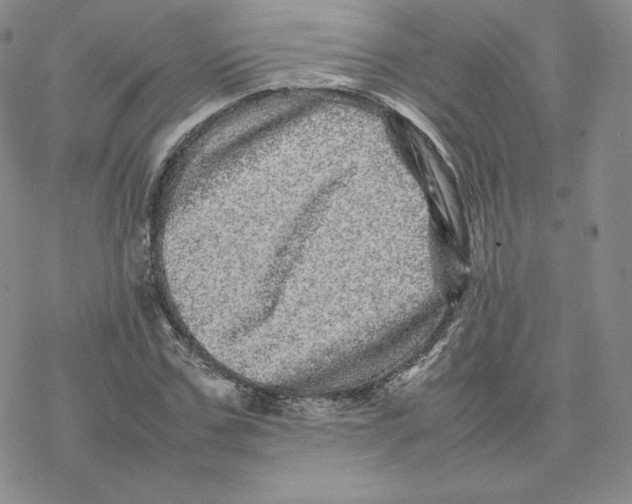 X0000077290971200611171623