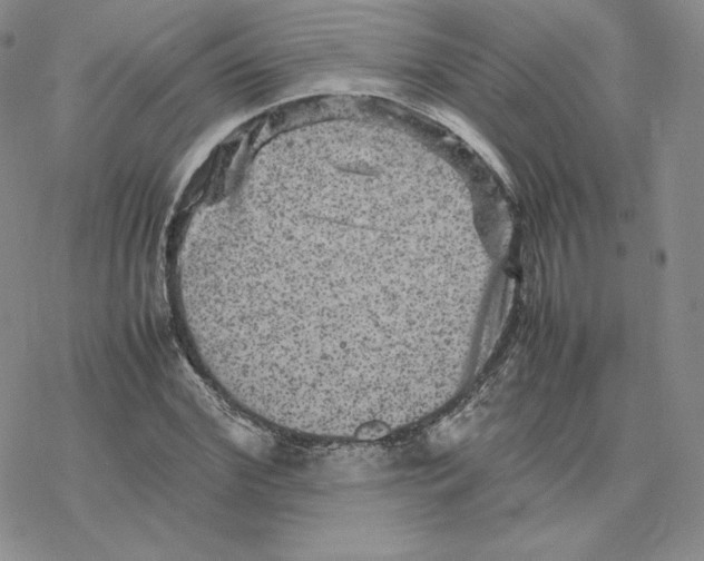 X0000077290972200611171623