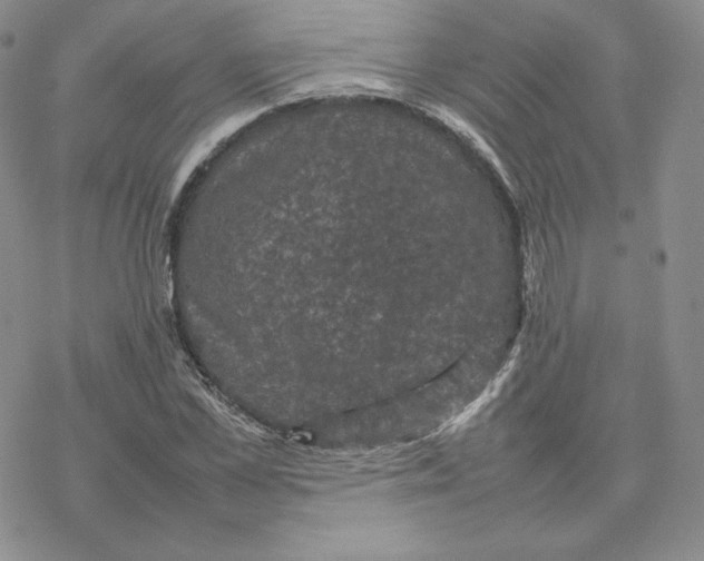 X0000077290973200611171623