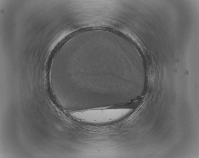 X0000077290975200611171623