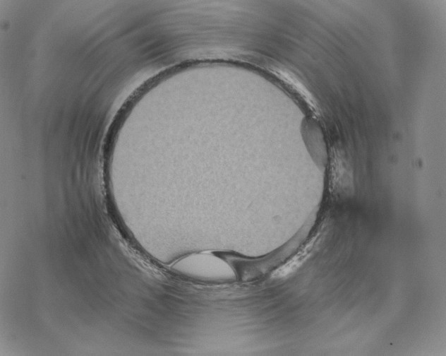 X0000077290976200611171623