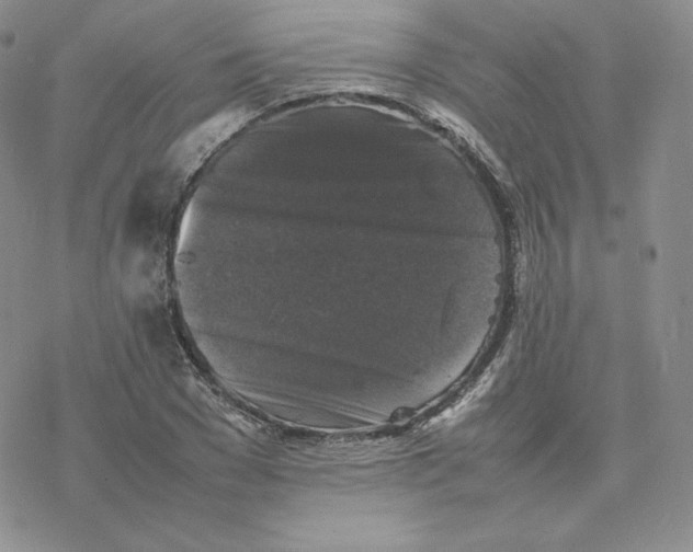 X0000077290977200611171623