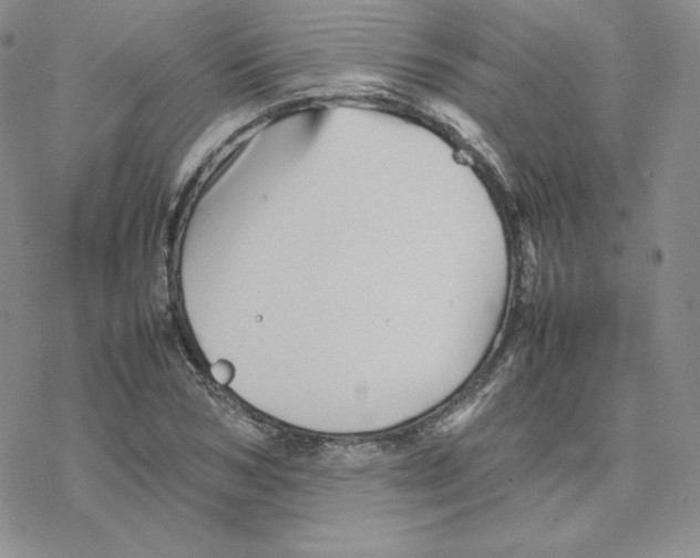 X0000077290978200611171623